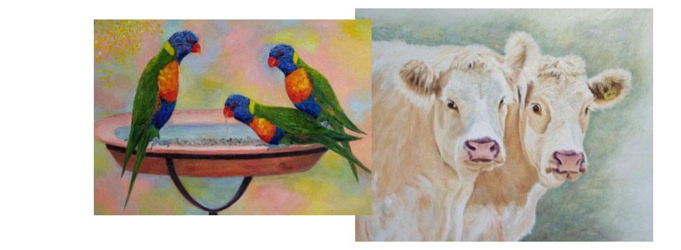 Birds & Nature