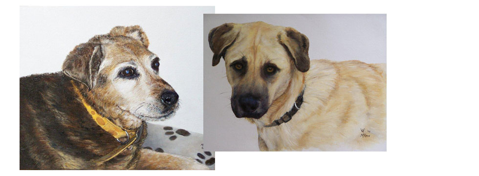 Dogs
